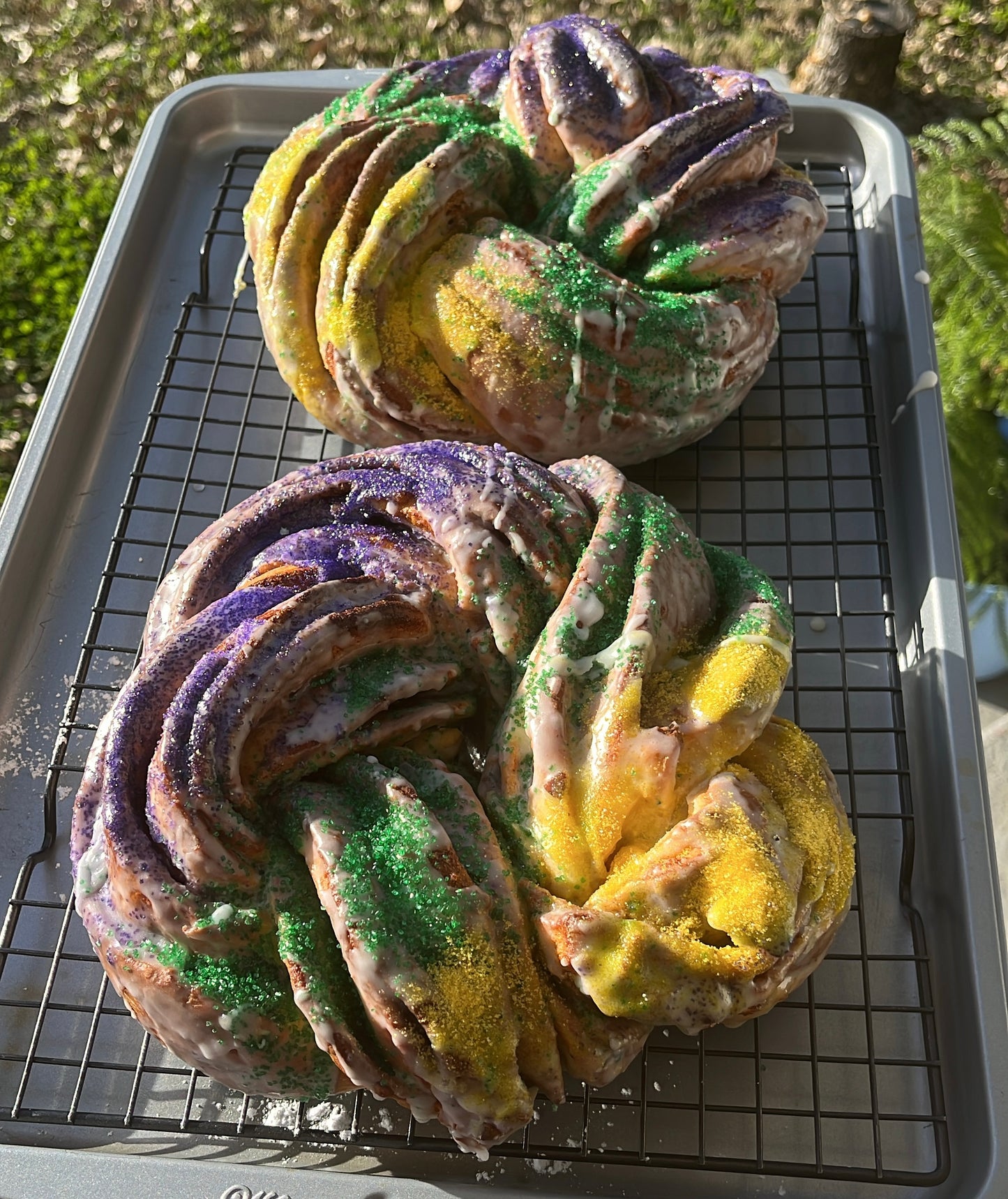 King Cake - Regular